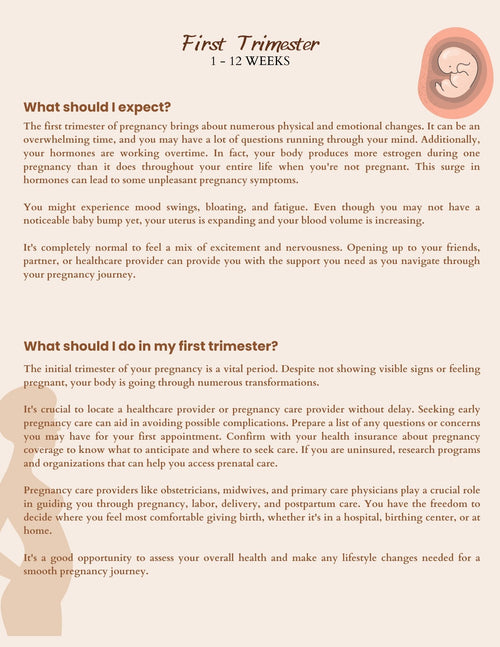 Bump to Birth Planner | Pregnancy E-Book